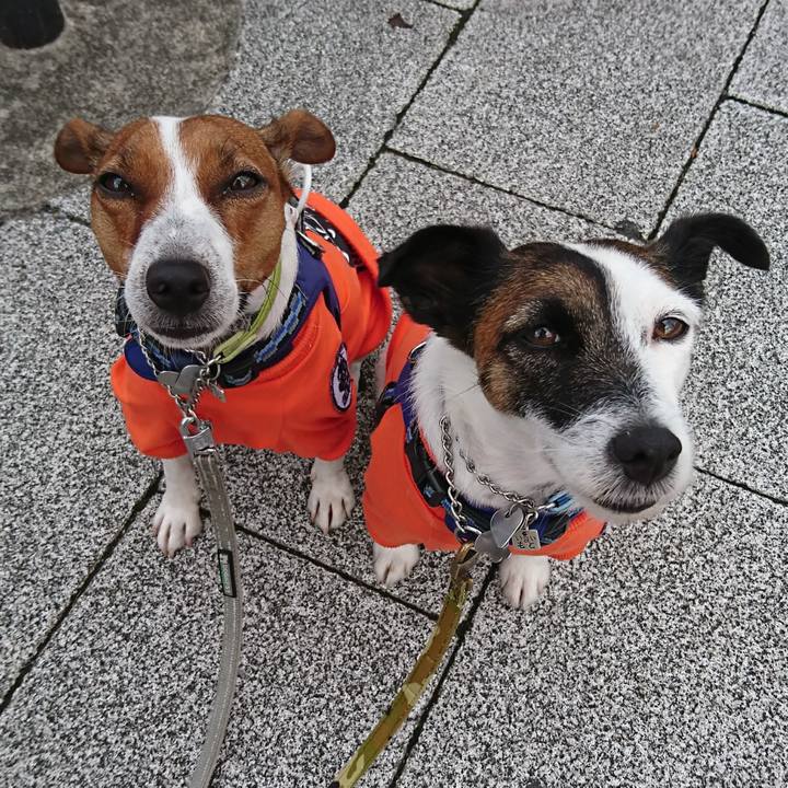 B434b7a9 dd90 420b 9ae3 3d14eadc3fb5 1600382998684