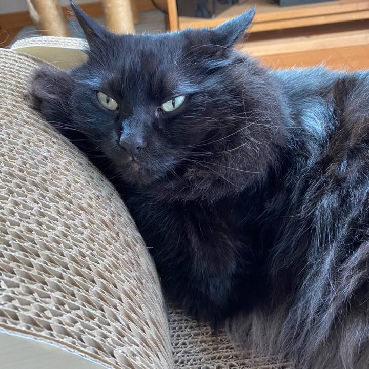 B434fcb2 3491 44e9 a94a 5bce8ffa6e88 1593738452145