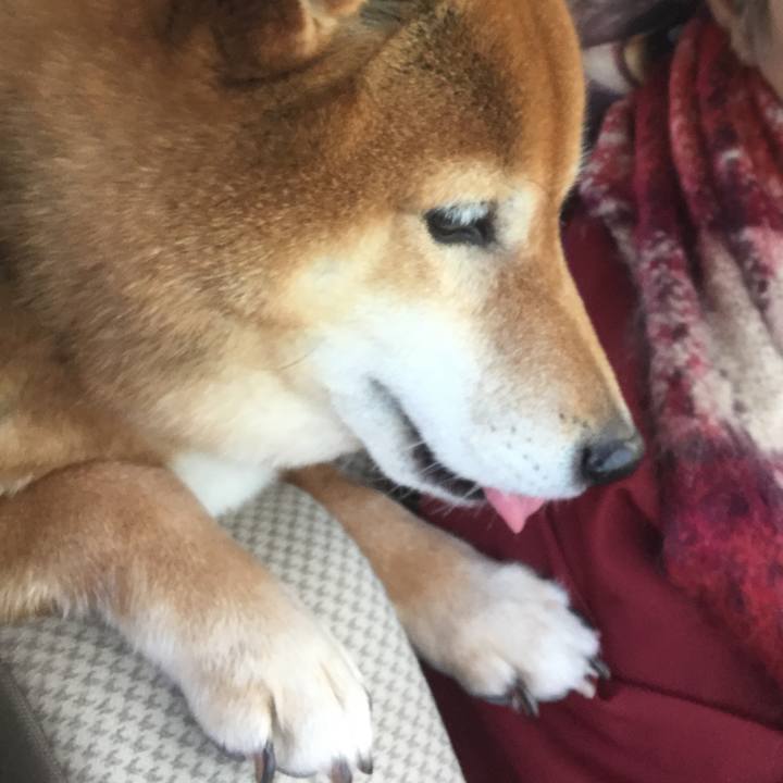 B435020d cd16 470e a5fd 581e14d642a4 1554273646214