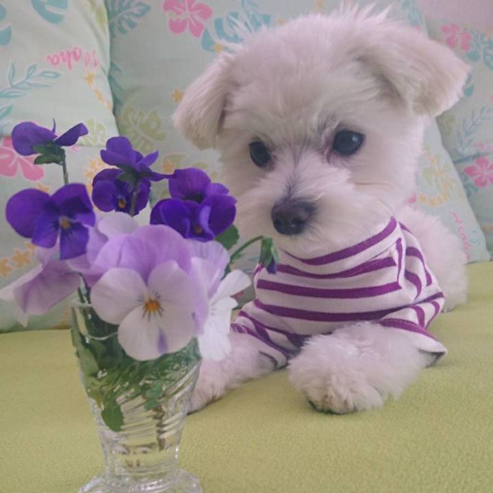 B4353023 6f56 4167 98d0 b84f095b7324 1520906140847