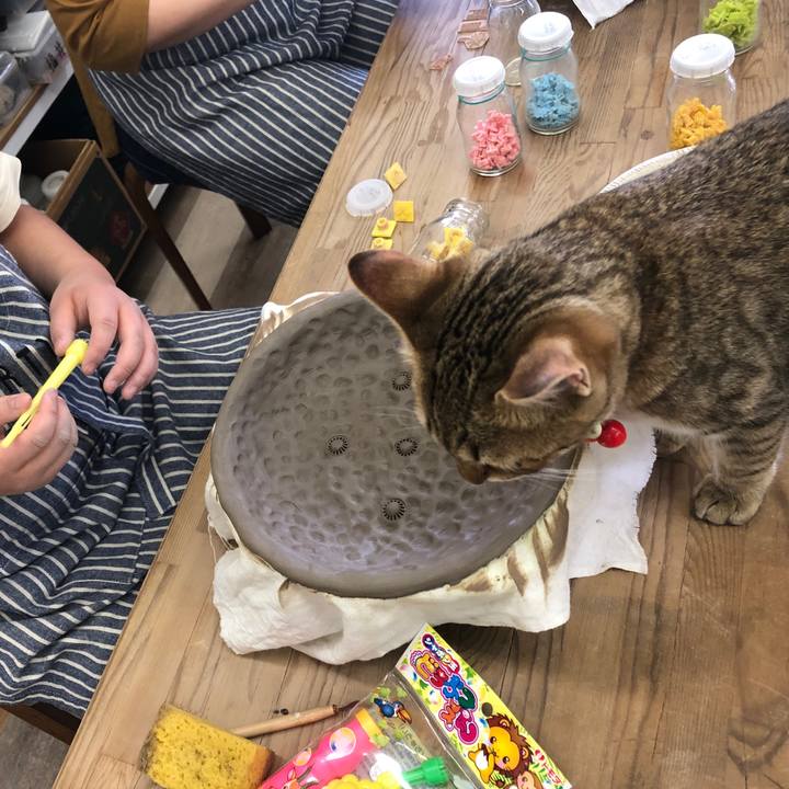 B43533d5 0497 4479 985a f6ac85b88aae 1584846232916