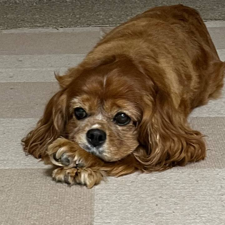 B4355c89 f4e5 4b8a 8f36 fe46292c33ce 1722598916942