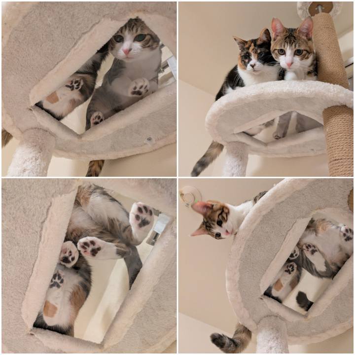 B4356308 0826 4952 9a75 f5b43f931118 1737438173878