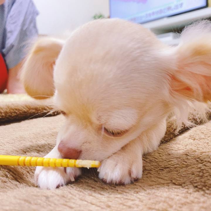 B4358fc9 8d9c 45bd 9840 9f1f435821f0 1595639818581