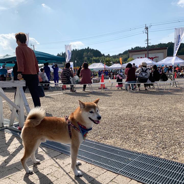 B43599d5 c213 4813 be8e 59ececa6c392 1572159291038