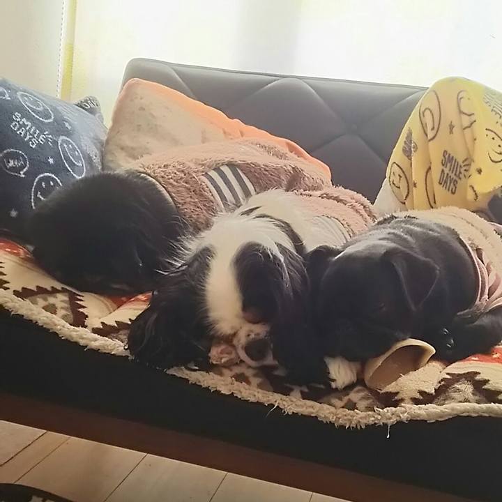 B435b446 3e7e 4894 9cd6 bfa83847213c 1519975252212