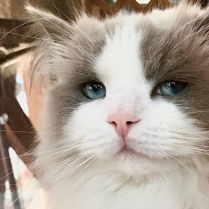 B435bb12 30d6 41fd b45b 4eb2c8e157f9 1599588113103