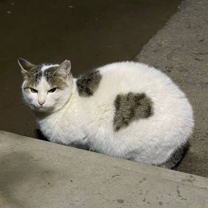 B435c273 b614 480a 89f2 db88de8ae93f 1649100874586