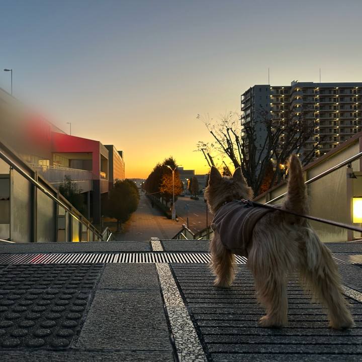 B4361187 8c03 4685 a665 64d488cff686 1734926412114