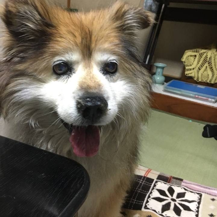 B43656c4 bb41 4708 91bc a66b5ec773aa 1553760685501