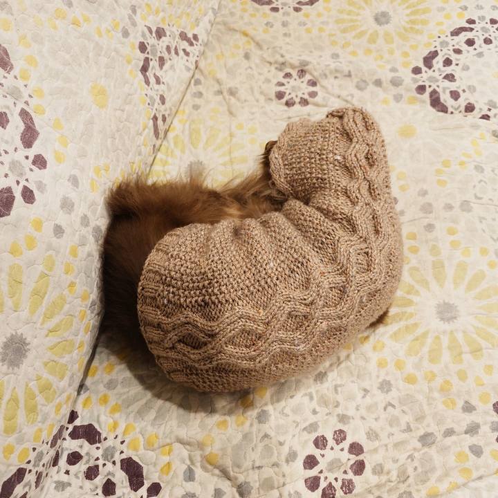 B4367ae3 4f62 49c5 bf1c f7d5250b0db2 1768648740850