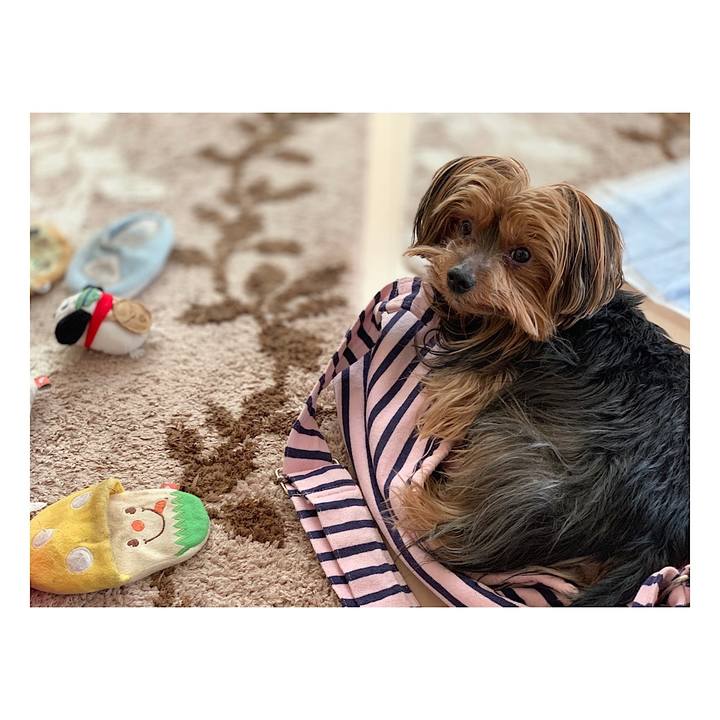 B4367b04 9cc7 48dc 9784 0ad969fb4cf7 1547696808576