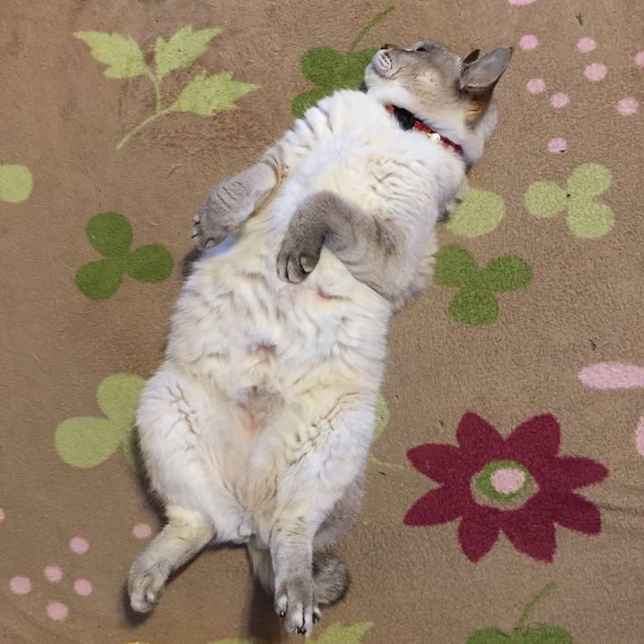 B4369610 c4a1 4583 940d 198b20b18cd3 1553857166400