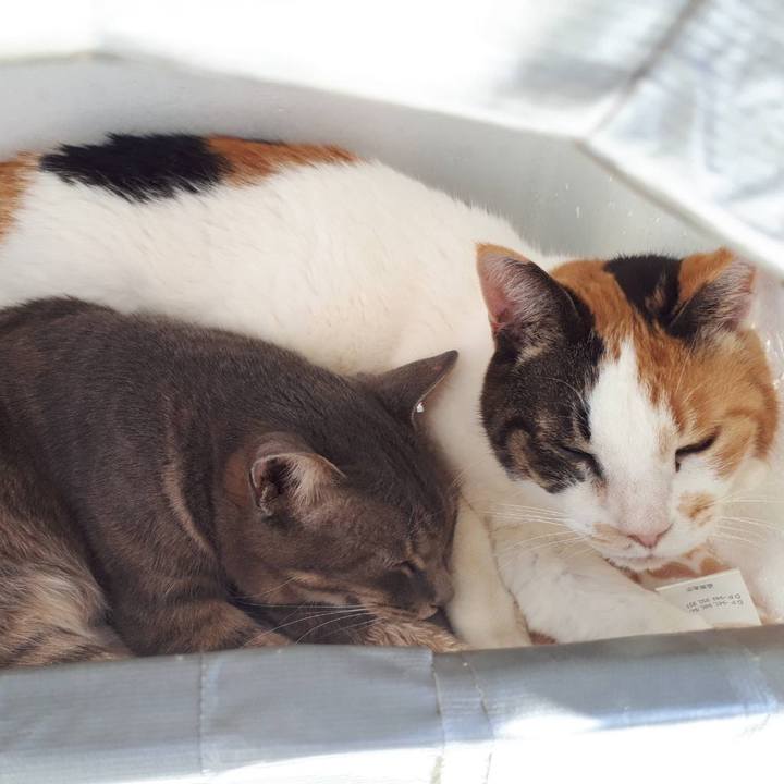 B436dd1b 5d2c 4d02 bb3e cffc42c9236f 1582458508918