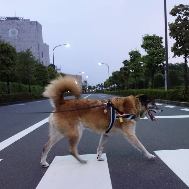 B43706cd a57c 4e01 bb19 90a8918155bd 1566126514972