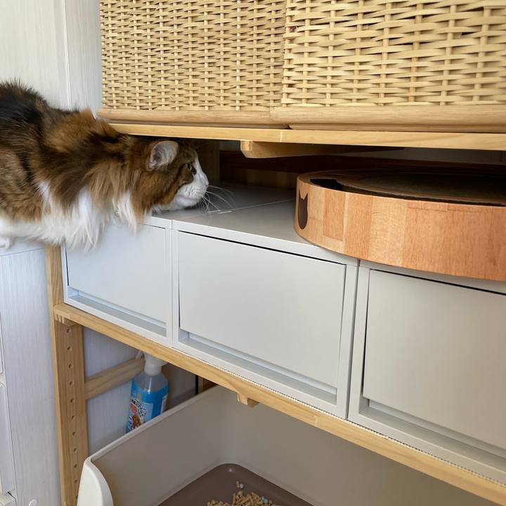 B437119d 6f31 43f3 a9c8 f0db8e751477 1654423948383