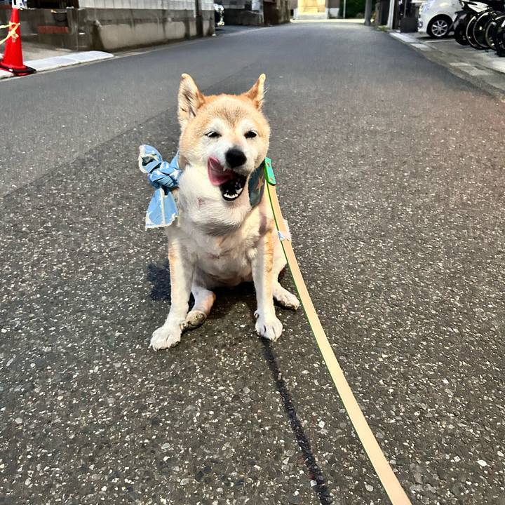 B43720ef d4ac 42d7 a7f3 74de822a7c61 1755165864429