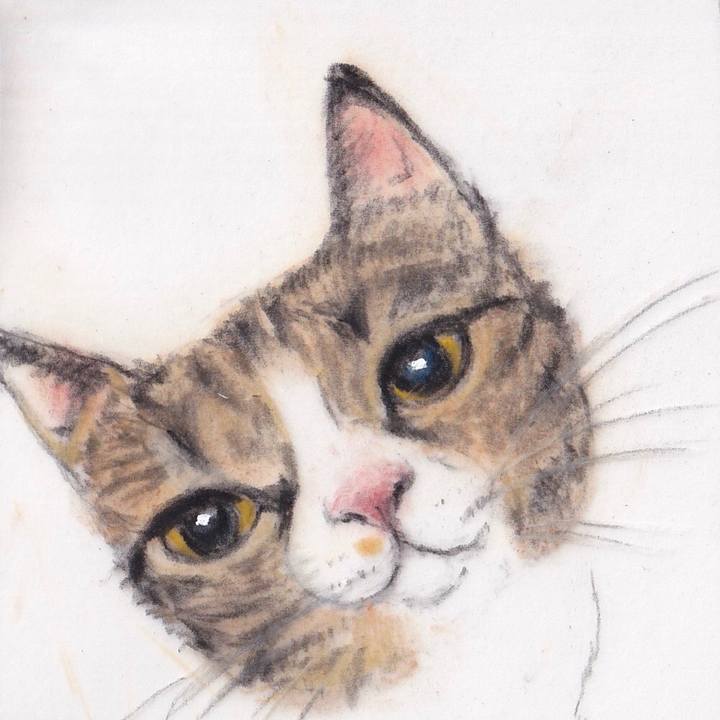 B4377ae0 459f 4619 b880 9374d8603879 1673431219423