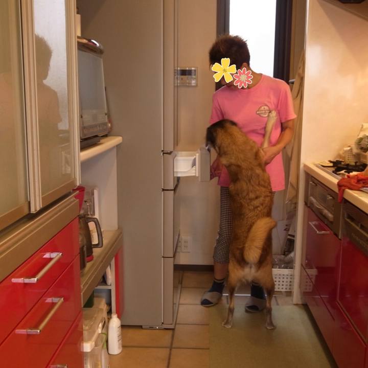 B4378fb5 0fb1 455a b7ee 2af6e3b3640b 1686703599044