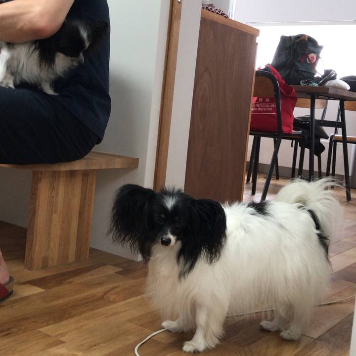 B437e123 b431 4336 91b5 d3bb895157ee 1532841087646