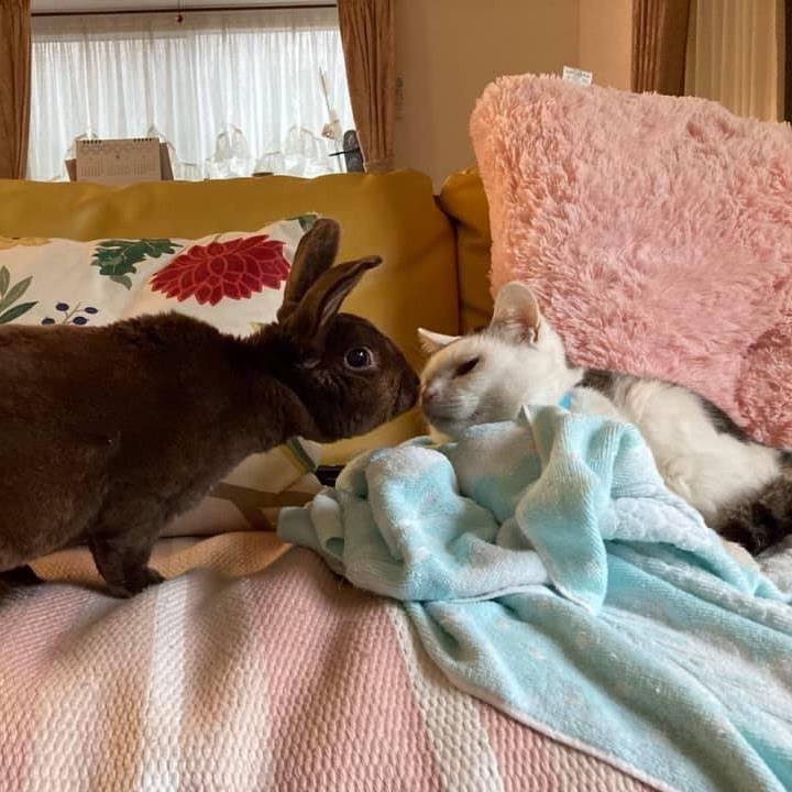 B437f1ed 5015 452f 8433 d4c2e333ff67 1628234600097