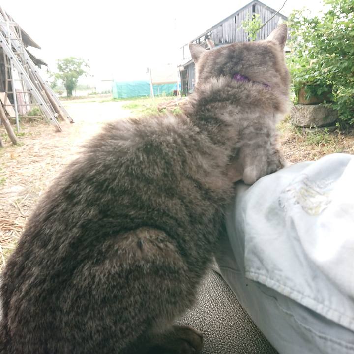 B4380e46 4f5a 4a0c 818f 79b10b311c6b 1591821075329