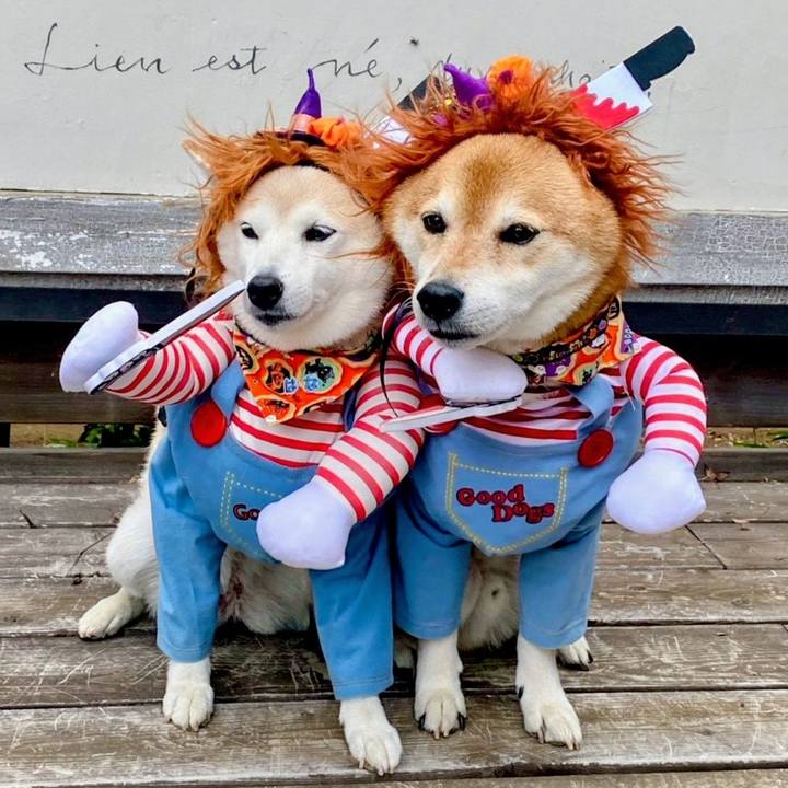 B4382885 b203 4b9f b6d2 de0f6e47afbc 1760946522629