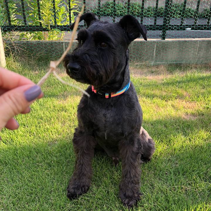 B4383afb da93 449a 962e a768a423b36b 1534667545104