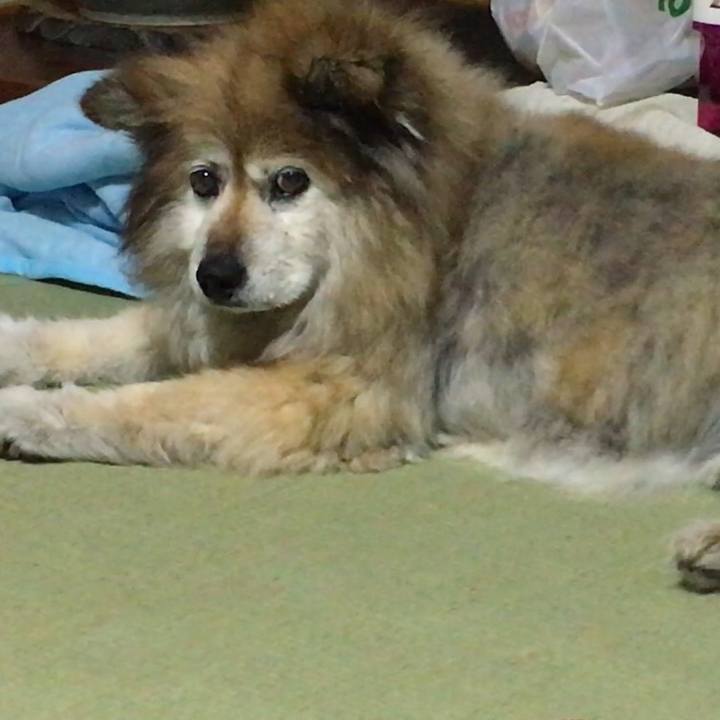 B438b0ca 0610 48cf 9eec 4ad2efc62370 1555068233660