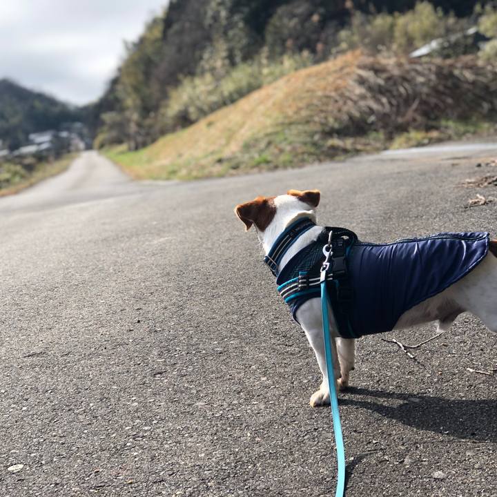 B438b650 57b7 42e4 a881 568bd851d56c 1647255175785