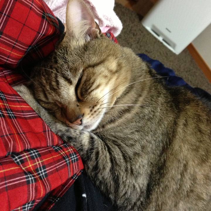 B438b74b 4815 4d58 8785 85373931cc1d 1593579394154