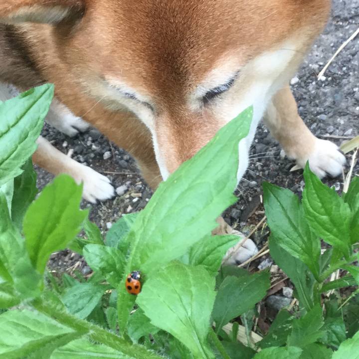 B438c9aa 7869 46d5 b21f e4114cfc39e1 1555584969652