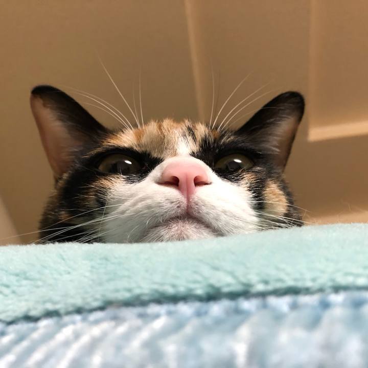 B4392b26 eca2 4b90 a20f ced979044be0 1605215918486