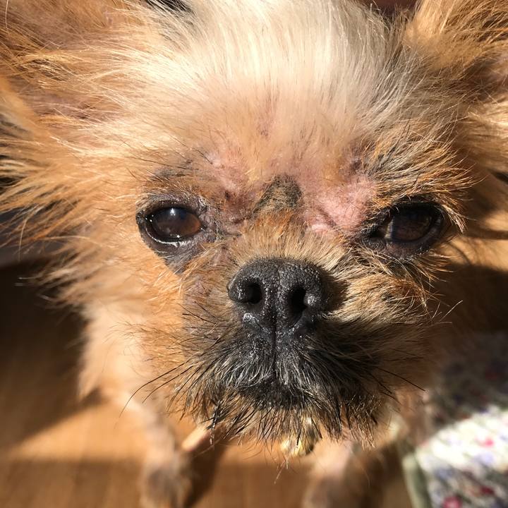 B4396b3b 3235 4137 b2ae f8b3f5f0c0ff 1541034277459