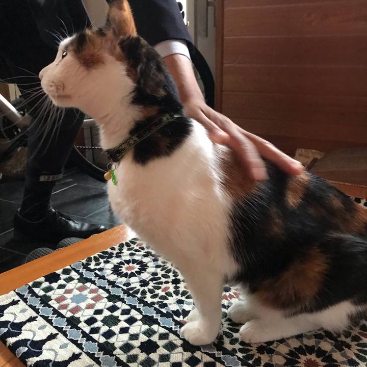 B4397de8 df7f 4df0 82b6 64a83c25f92c 1543274829587