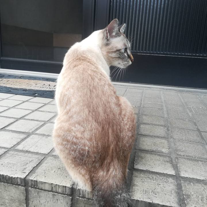 B43a1976 8b16 483b 836f d08542d272f5 1537153724780