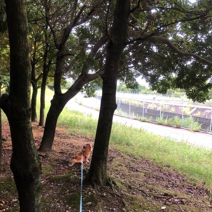 B43a41df 31c6 44d9 a08c ec5f3496b912 1532726124011