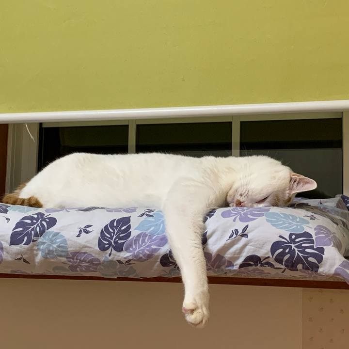 B43a6161 ea7d 4b1a 8ae5 ccb8c7572214 1636399333323