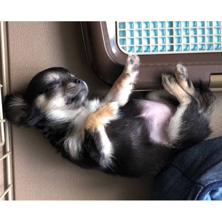 B43a9352 45a2 4962 b7c9 f34b139b7bf2 1619224198081