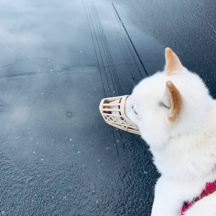 B43aaf17 2449 4336 b322 81d2486a5aed 1593291823737