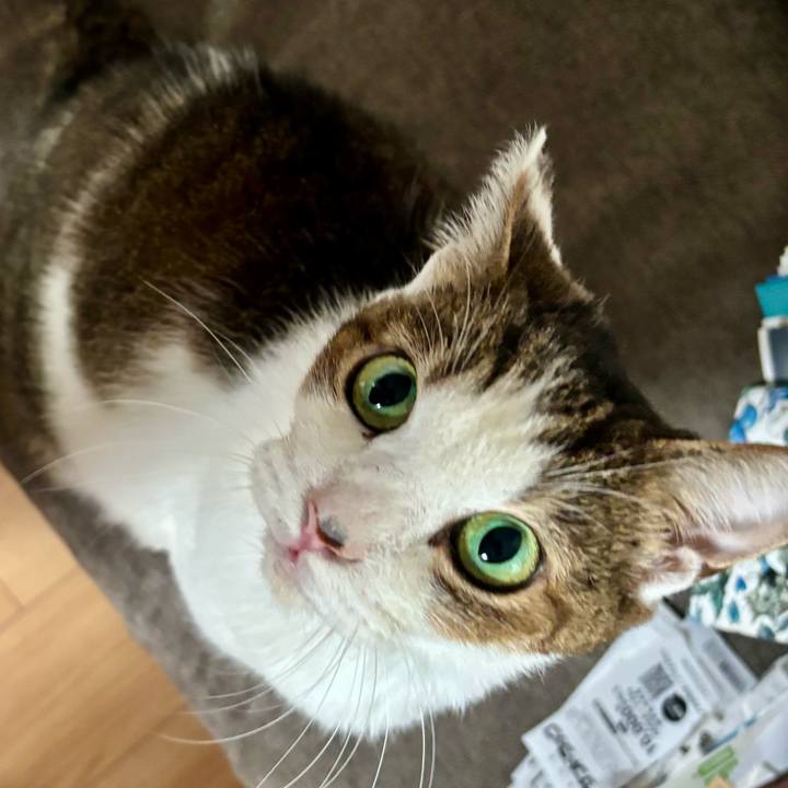 B43abdd8 0ff7 4800 9434 e20de4c72259 1763013438427