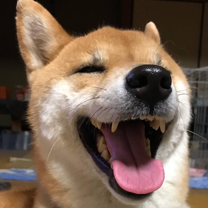 B43ac259 0fc0 413d 9321 9b72875f6c41 1558262990049