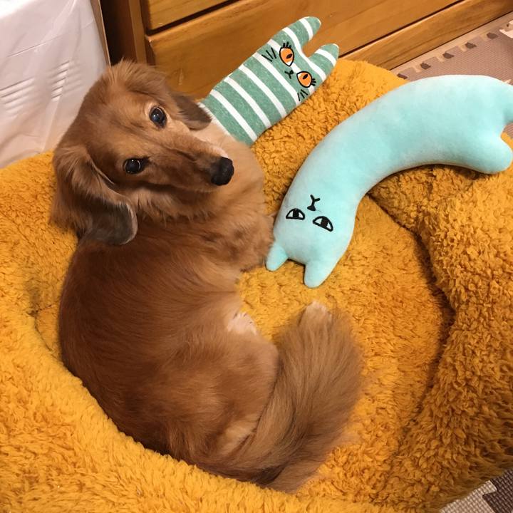 B43ae413 92d2 47ac bd73 47827409c495 1616335253606