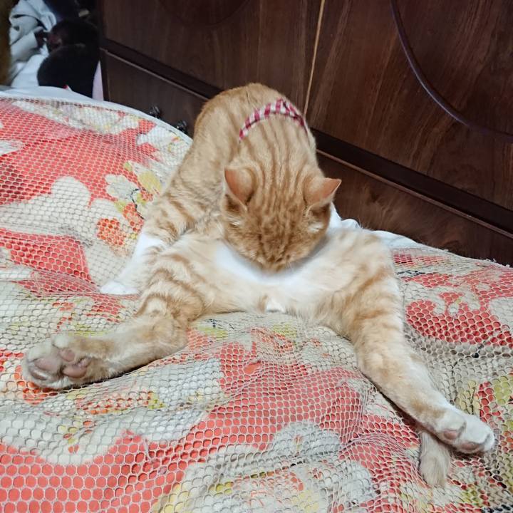 B43ae816 e0d2 41e5 8ab7 76e0d5addac5 1561037710617