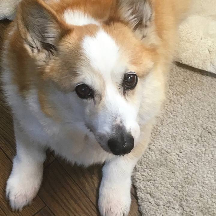 B43afbd5 d052 442c aef9 c5f9a595c420 1555208002654