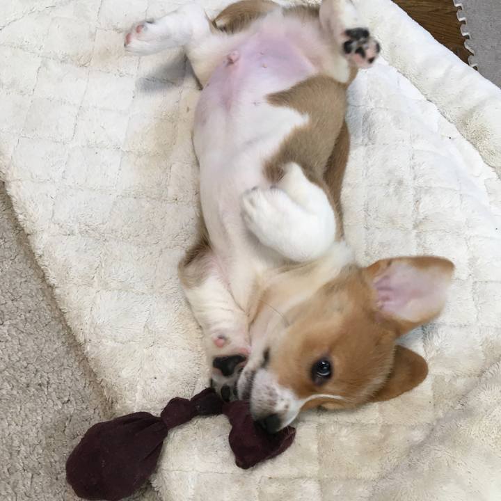 B43b8cea 0ce9 4032 9b7e 29a9ea60579d 1590112703562