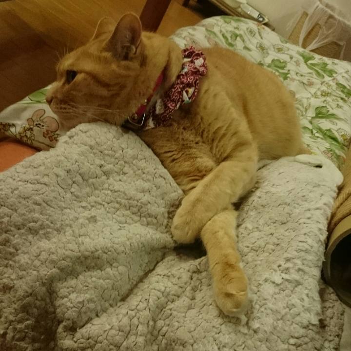 B43be8ba d3fe 4f1a 8772 63b288b72b14 1527349708589