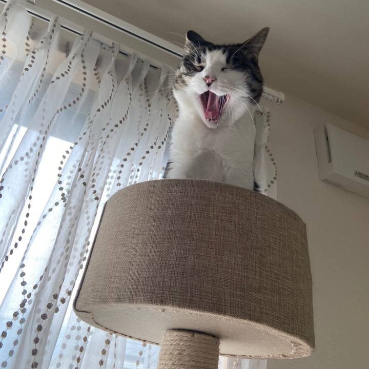 B43befb3 4dae 475d b6c9 42662fae9bad 1590107331015