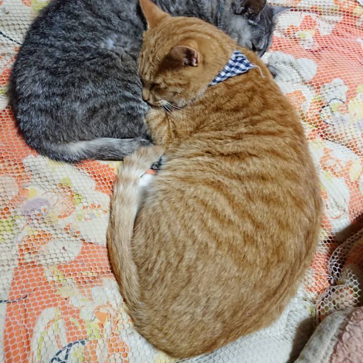 B43c1143 5bd8 4968 be43 66900caab41d 1571661001653