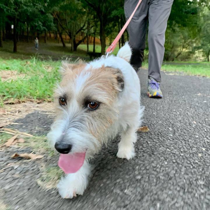 B43c3f0f 8c78 407c 94a9 ba68bb6bdd69 1664722635711